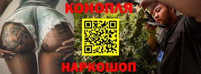 PSILOCYBIN Будённовск