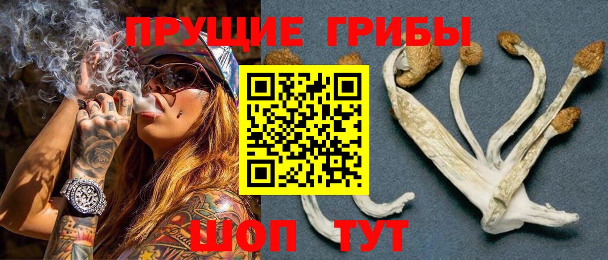 купить  сайты  Псилоцибиновые грибы Psilocybine cubensis  Электрогорск  Вход с VPN  Галлюциногенные грибы MAGIC MUSHROOMS 